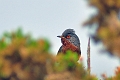 01 06 14_5282_edited-2
